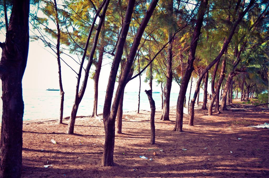 Beach Palace Hulhumalé Exteriér fotografie